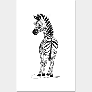 Baby Zebra Posters and Art